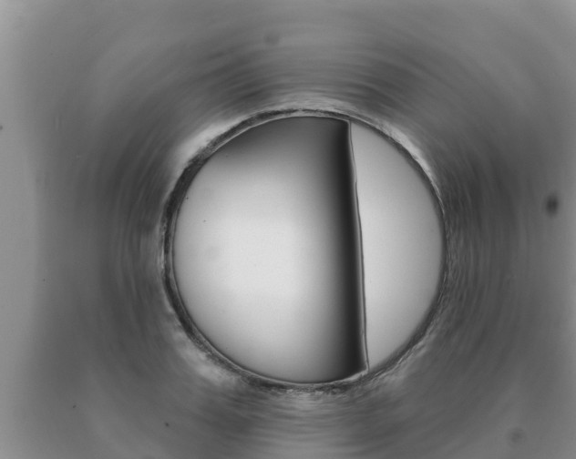 X0000091070987200708061019