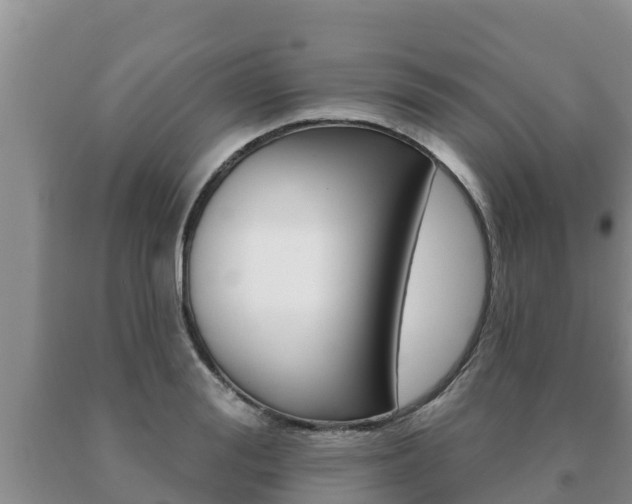 X0000091070988200708061019