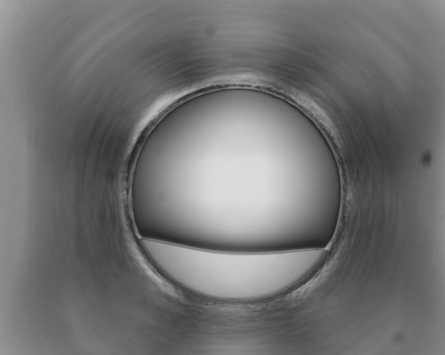 X0000091070989200708061019