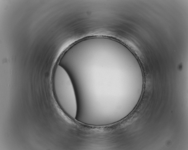 X0000091070990200708061019