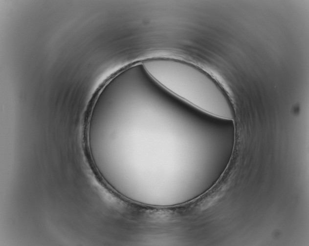 X0000091070991200708061019