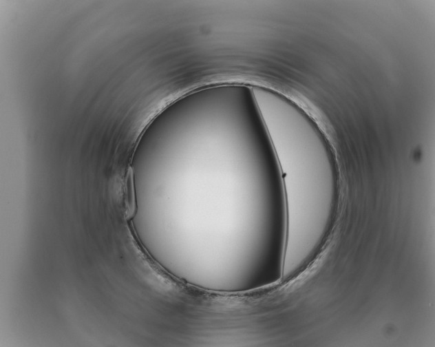 X0000091070993200708061019