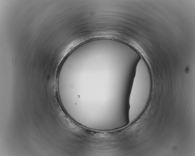 X0000091070994200708061019