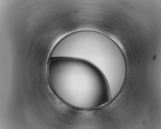 X0000091070996200708061018