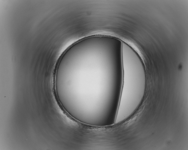 X0000091070999200708061018