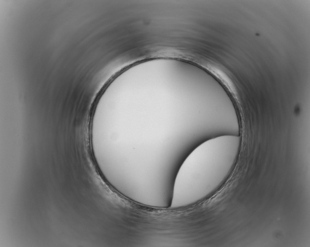 X0000091071000200708061018