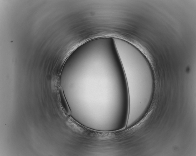 X0000091071001200708061018