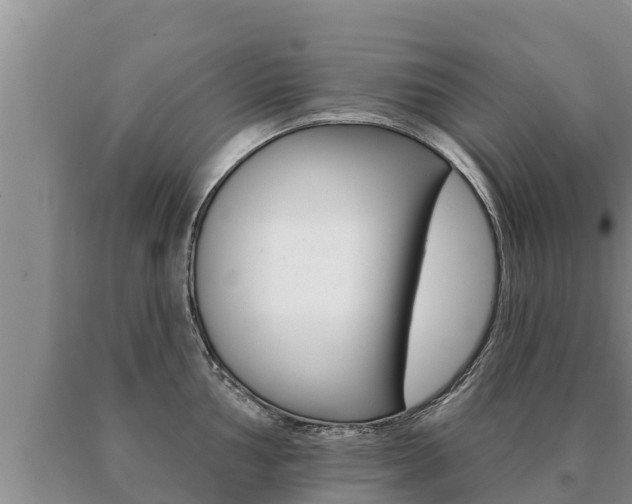 X0000091071002200708061018