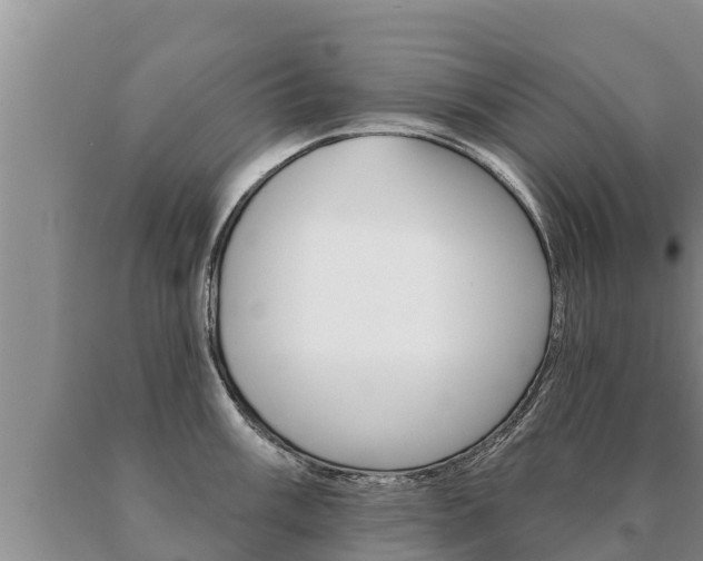 X0000091071003200708061018