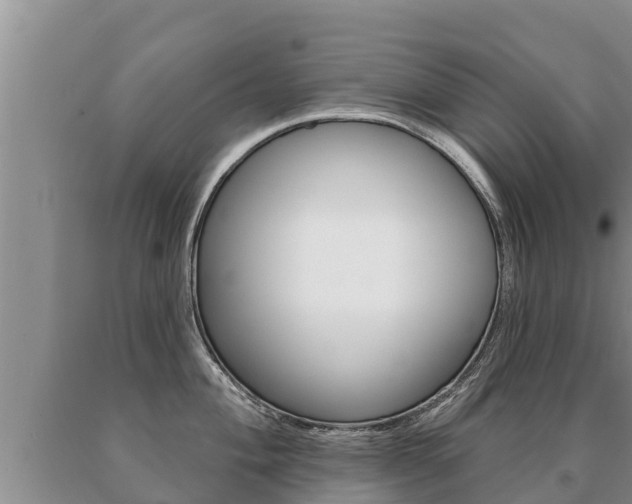X0000091071004200708061018