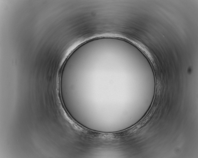 X0000091071006200708061018