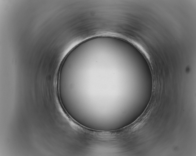 X0000091071007200708061018