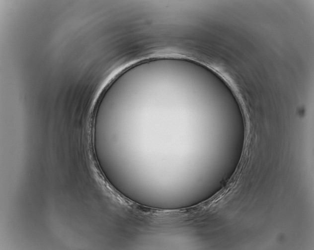 X0000091071008200708061018