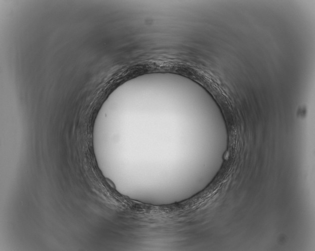 X0000091071009200708061018