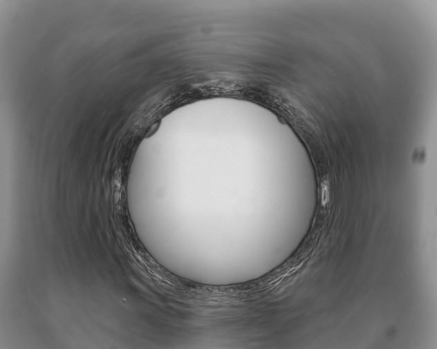 X0000091071011200708061018