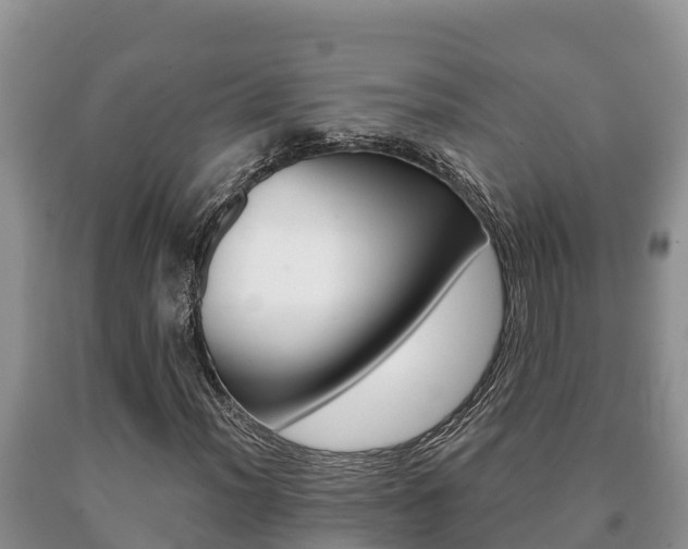 X0000091071012200708061018