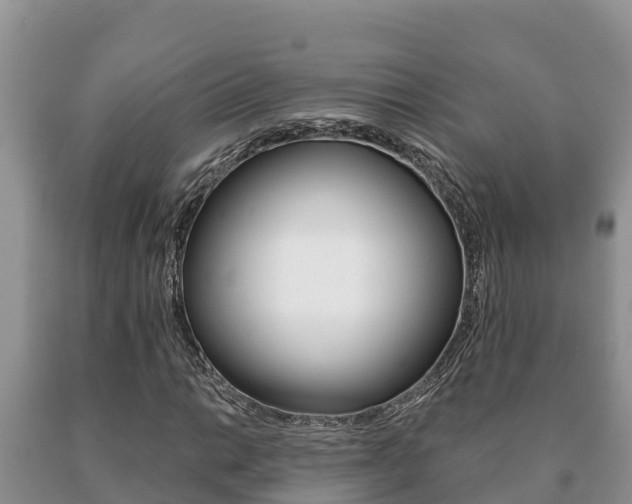 X0000091071014200708061018