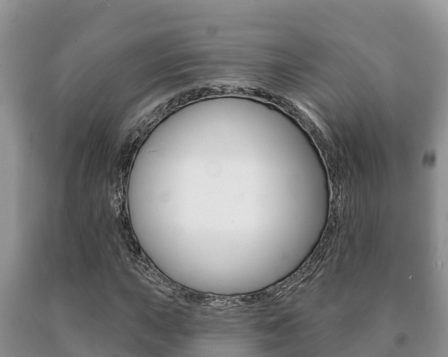 X0000091071015200708061018