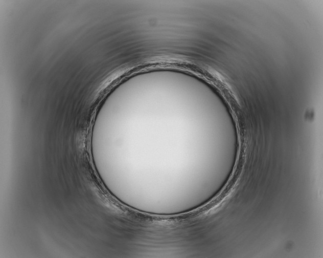 X0000091071017200708061018