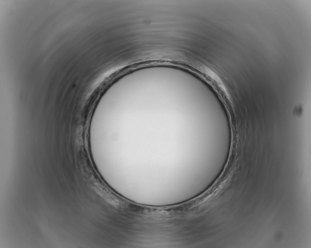 X0000091071019200708061018