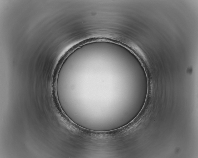 X0000091071020200708061018