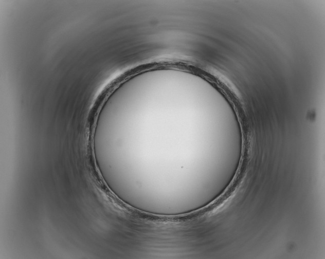 X0000091071021200708061018