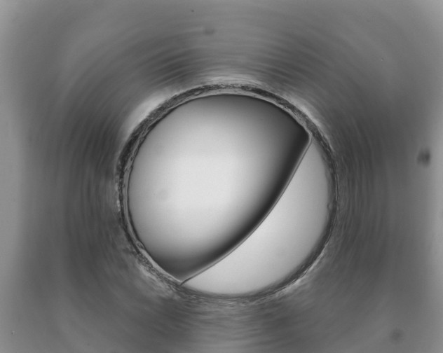 X0000091071022200708061018