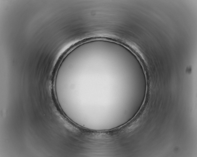 X0000091071024200708061018