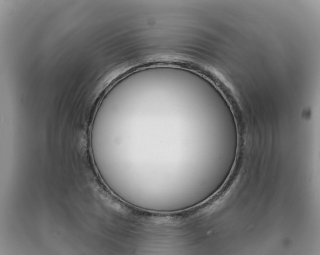 X0000091071025200708061018