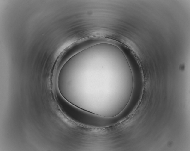 X0000091071026200708061018