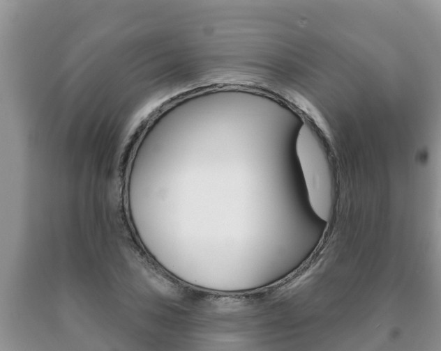 X0000091071027200708061018