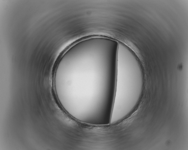 X0000091071028200708061018