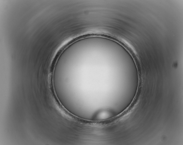 X0000091071029200708061018