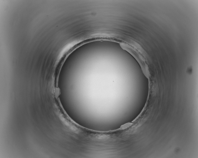 X0000091071030200708061018