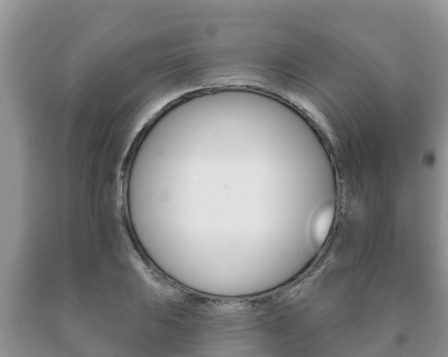 X0000091071031200708061018