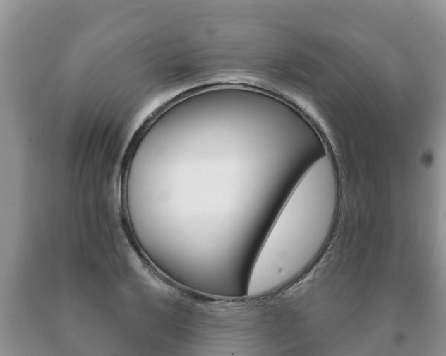 X0000091071032200708061018