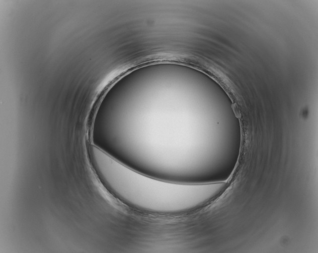 X0000091071034200708061018