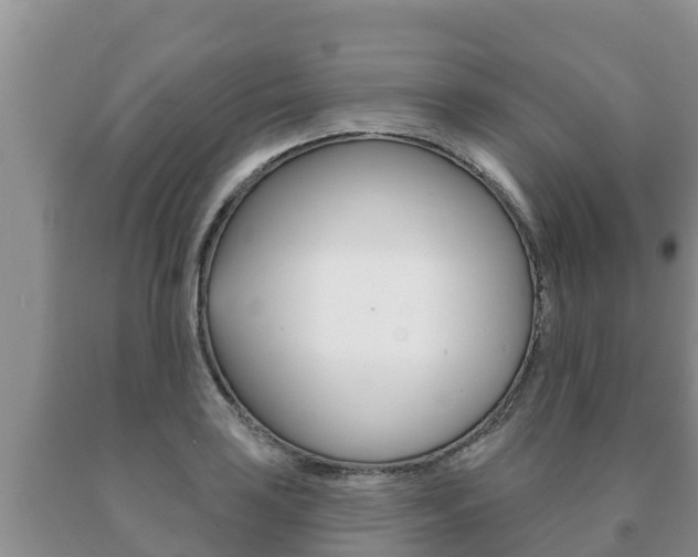 X0000091071035200708061018