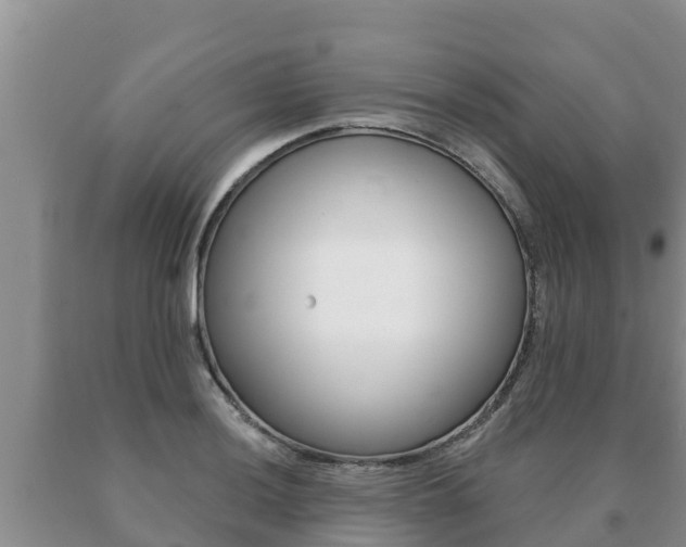 X0000091071036200708061018