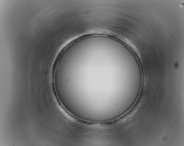 X0000091071037200708061018