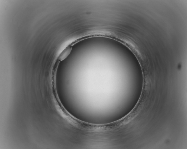 X0000091071038200708061018