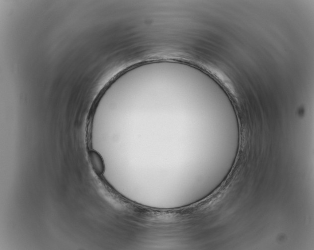 X0000091071039200708061018