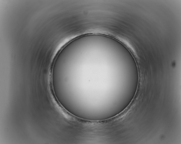 X0000091071040200708061018