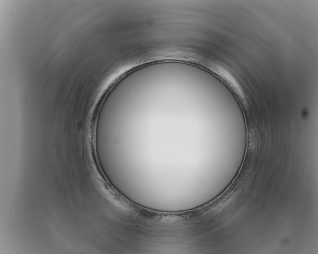 X0000091071043200708061018