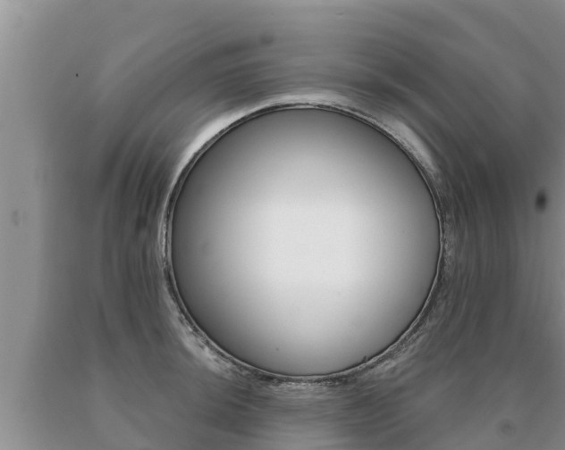 X0000091071044200708061018