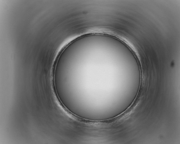 X0000091071045200708061018