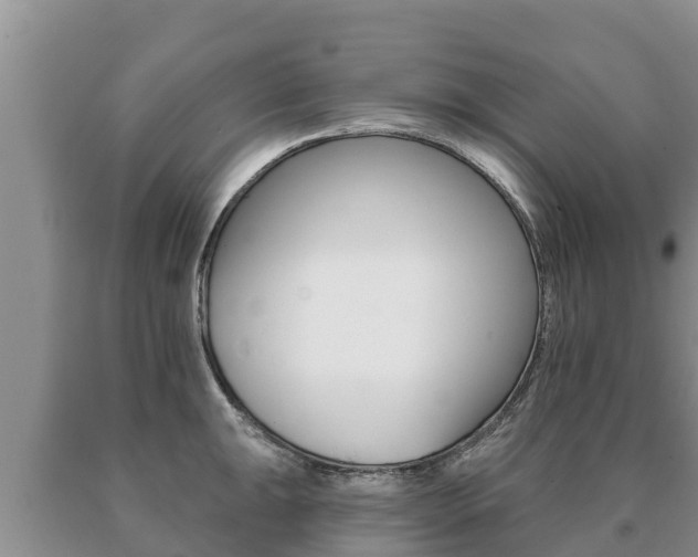 X0000091071047200708061018