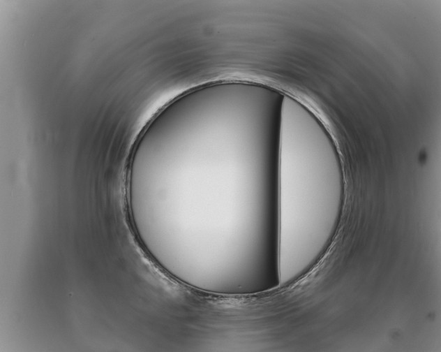 X0000091071048200708061018
