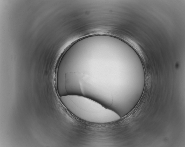 X0000091071051200708061018