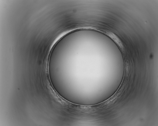 X0000091071052200708061018